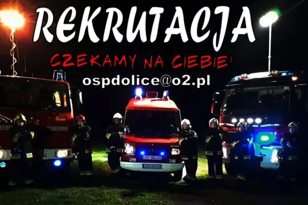Agresywne szerszenie przy placu zabaw w Sądowie – interwencja OSP Dolice