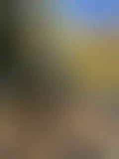 Letni wieczór z muzyką i ogniskiem nad jeziorem w Ińsku