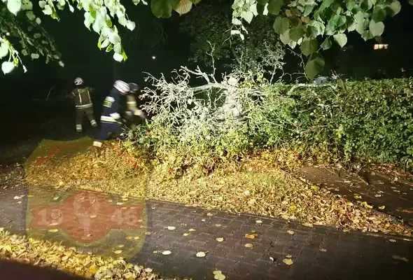 Konar i powalone drzewo – interwencje OSP Ińsko