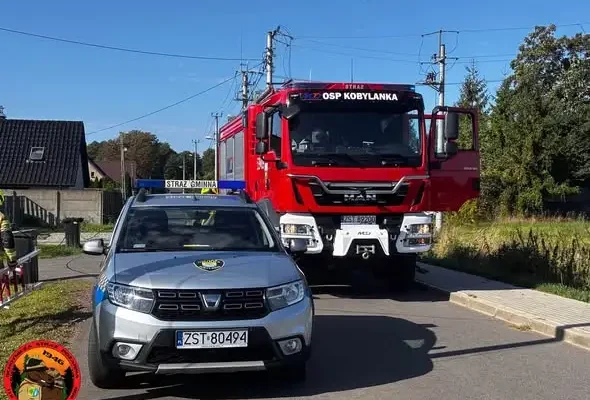 Uszkodzona lampa i zerwana linia energetyczna w Cisewie — interwencja służb