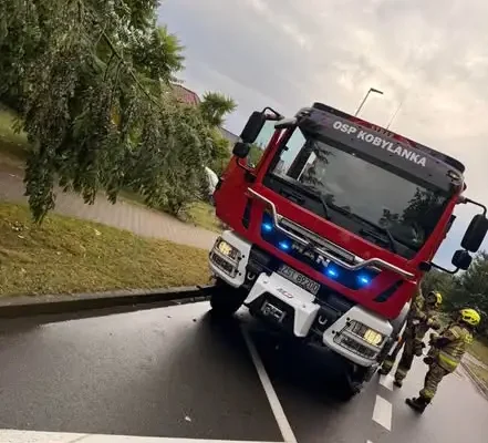 Gałąź nad chodnikiem w Kobylance – interwencja OSP