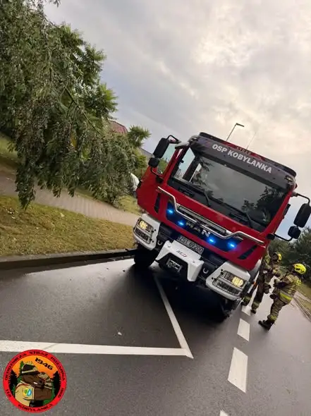 Gałąź nad chodnikiem w Kobylance – interwencja OSP