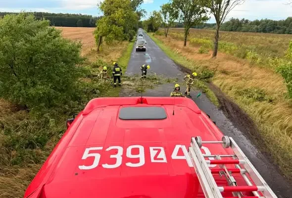 Interwencje OSP Chociwel: od powalonych drzew po zdarzenia drogowe