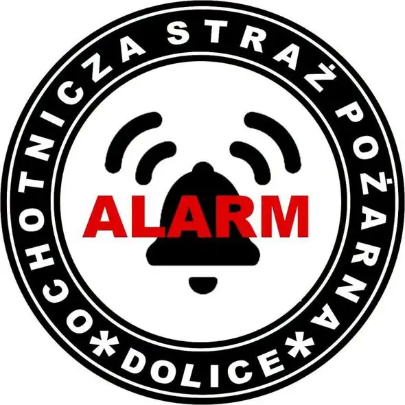 Agresywne szerszenie w Mogilicy. Interwencja strażaków z OSP Dolice