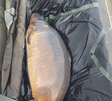 Chociwel Carp Lake: 17 kg karp na zakończenie jesiennej zasiadki
