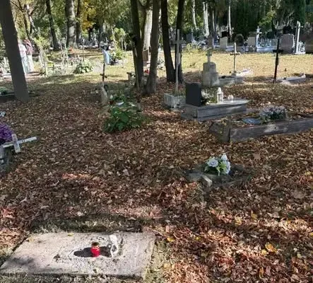 Wolontariusze ze Szkoły Podstawowej nr 2 w Stargardzie porządkowali zapomniane groby