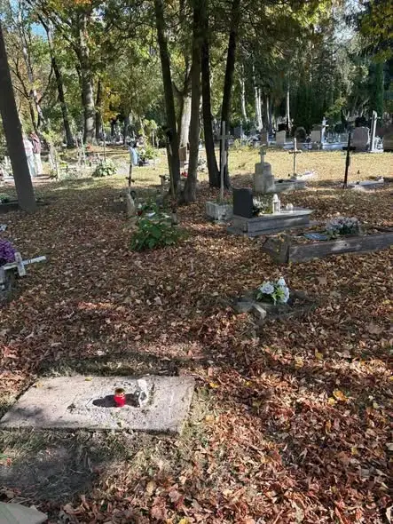 Wolontariusze ze Szkoły Podstawowej nr 2 w Stargardzie porządkowali zapomniane groby