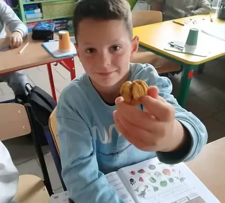 Klasa 2b z Suchania odkrywa naukę przez kasztanowe eksperymenty