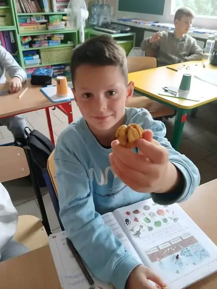 Klasa 2b z Suchania odkrywa naukę przez kasztanowe eksperymenty