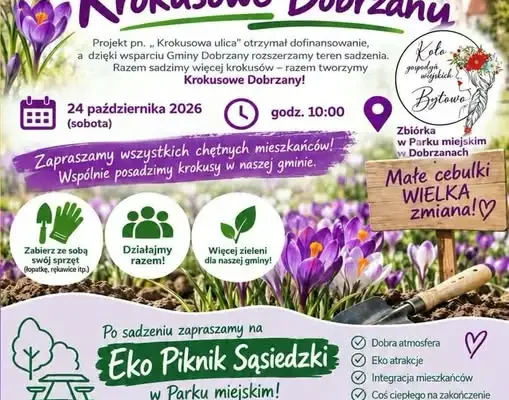 Dobrzany zapraszają na wspólne sadzenie krokusów – 24 października