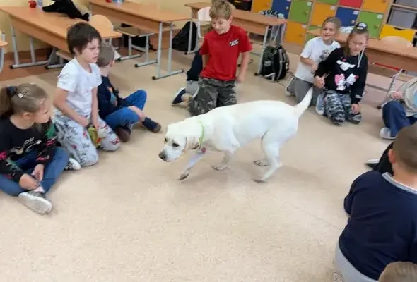 Dogoterapia w klasie 3b: Rosa uczy dzieci, jak radzić sobie ze stresem