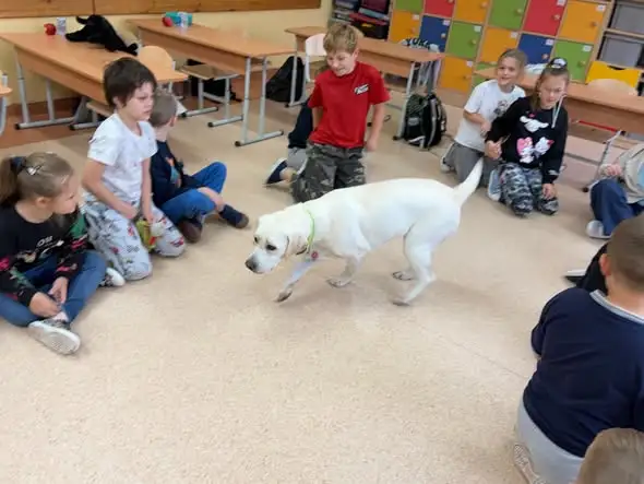 Dogoterapia w klasie 3b: Rosa uczy dzieci, jak radzić sobie ze stresem